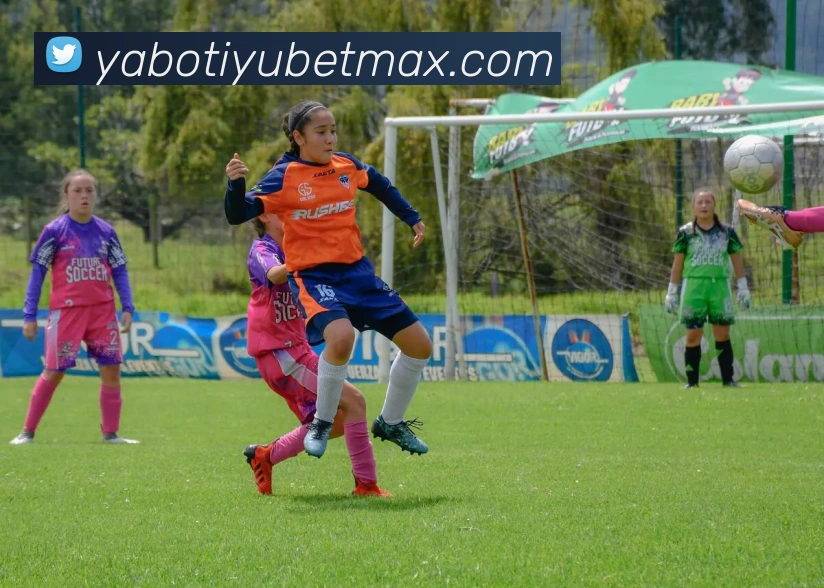 亚博体育APP 封面图